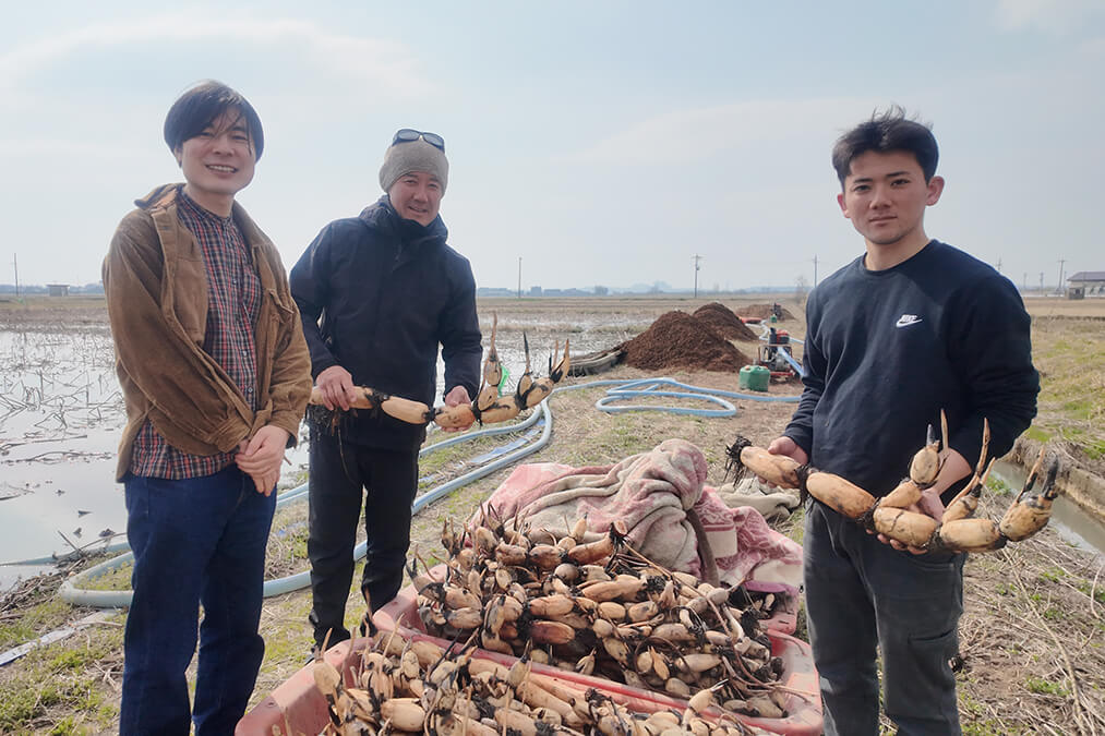 【生産者訪問】石川県内灘町|ふくださんの加賀蓮根